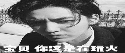 吃瓜娱乐圈的文案搞笑版,笑料百出，揭秘明星们的“笑果”人生  第1张