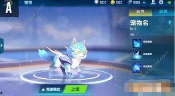 飞车宠物爆料最新信息,神秘宠物即将登场,玩法大揭秘! 第1张 飞车宠物爆料最新信息,神秘宠物即将登场,玩法大揭秘! 第1张